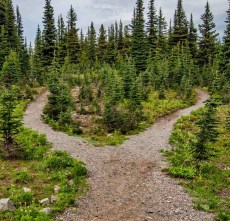 Fork in the Road